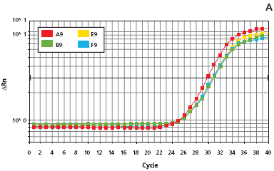 amplification plots for the extracts