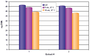 Stability of DNA in mouse tail