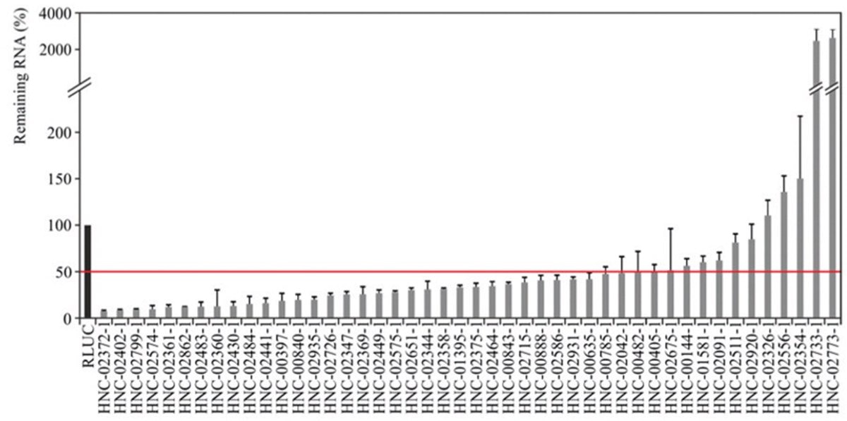 qPCR data validating knockdown of lncRNA in HeLa cells 24 hours post-transfection with corresponding esiRNA