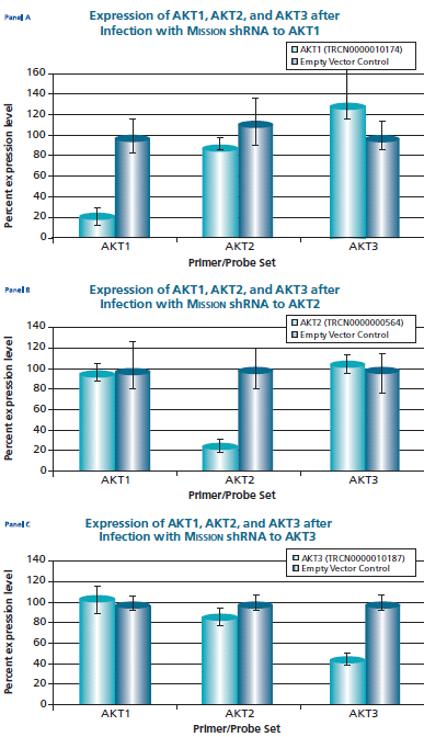 The Human v-akt murine thymoma viral oncogene homologs 1,2, and 3