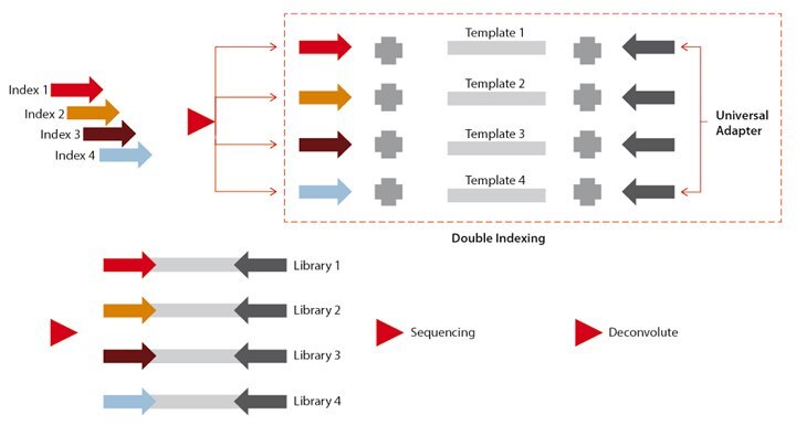 experimental-scheme