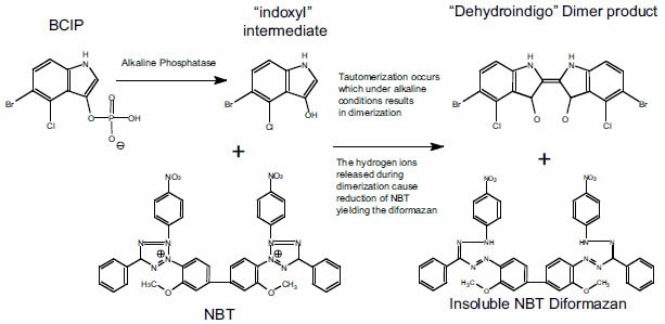 Detection methods structures