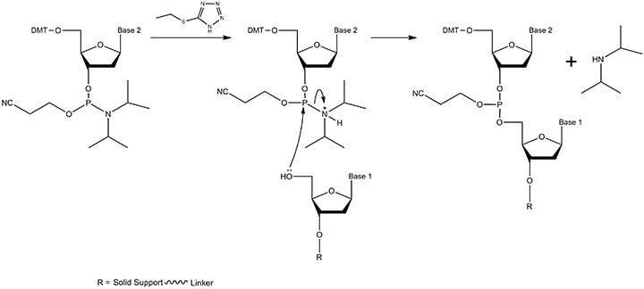 The coupling mechanism