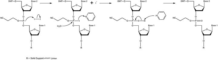 The oxidation mechanism