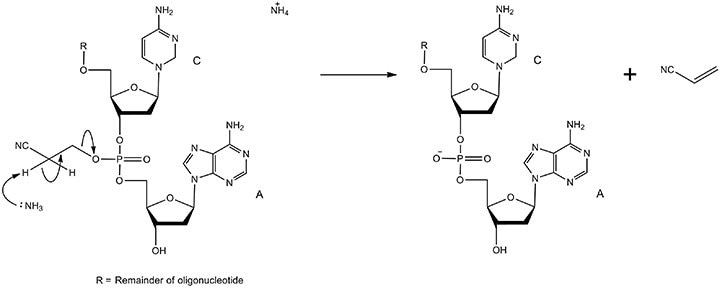 The mechanism of phosphodiester formation via deprotection