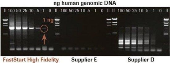 FastStart™ High Fidelity PCR System Amplification of Human Genomic DNA