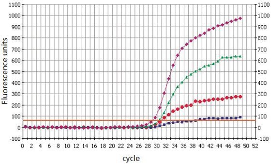  Locked Nucleic Acid Dual-Labeled Probes discriminate better than DNA Dual-Labeled Probes in SNP genotyping analysis