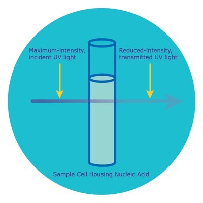 spectrophotometer