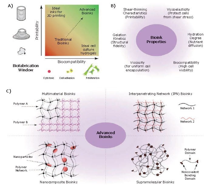  Bioinks for 3D bioprinting