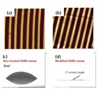 afm topography