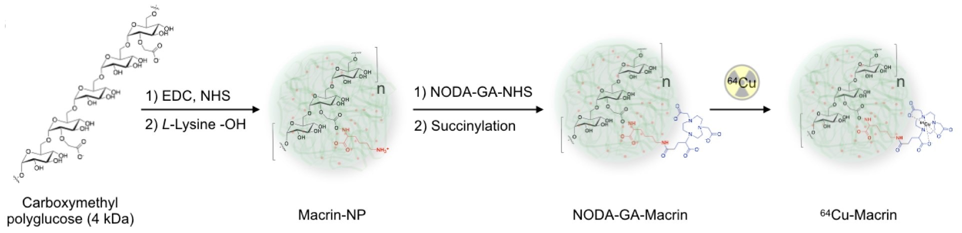 Macrin synthetic scheme.