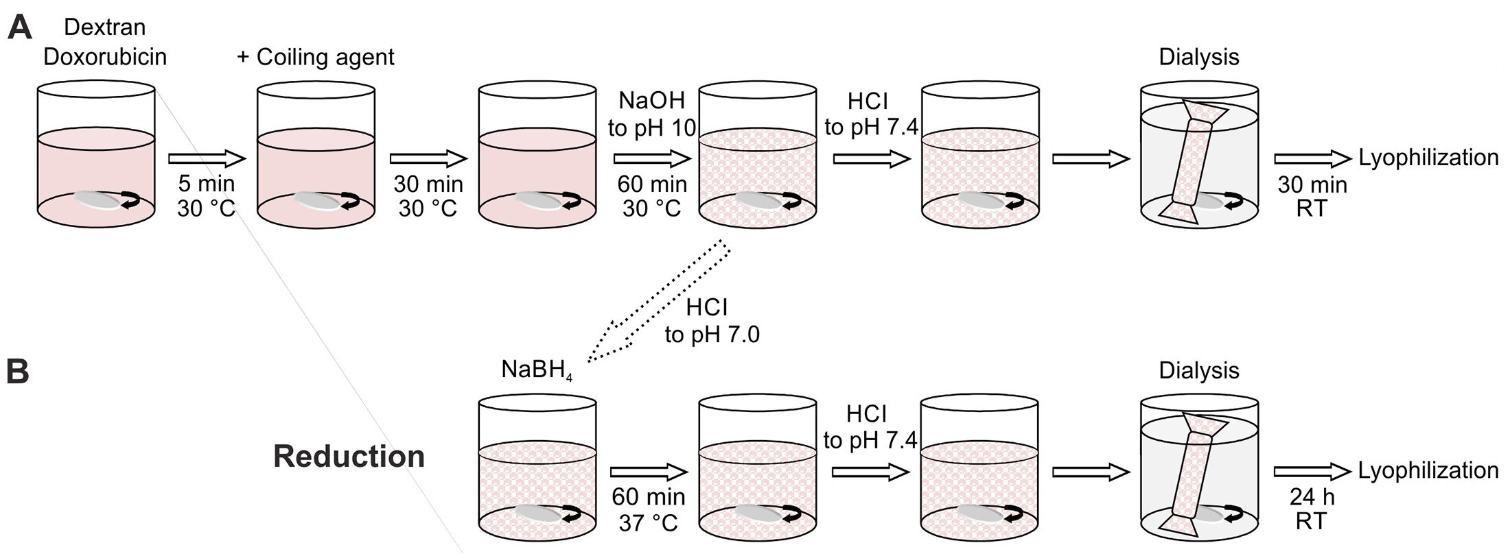 Diagram of Nanoparticle Synthesis Strategy using Dextran.