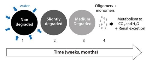 The biofate of RESOMER® polymers includes several steps: (1) Wetting and water diffusion, (2) Decrease of the molecular weight = Polymer degradation (3) Mass loss = Polymer erosion and (4) Renal excretion or metabolism to carbon dioxide and water.