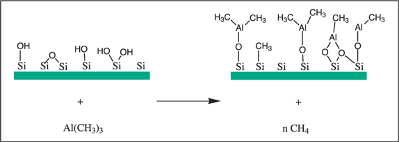 The reaction of trimethylaluminum with an oxidized silicon surface.