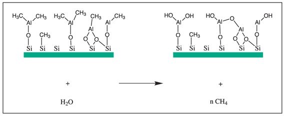 The reaction of surface alkylaluminum groups with water.