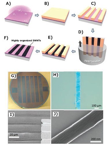 Schematic of template-assisted fluidic SWCNT assembly and SEM image of SWCNT networks