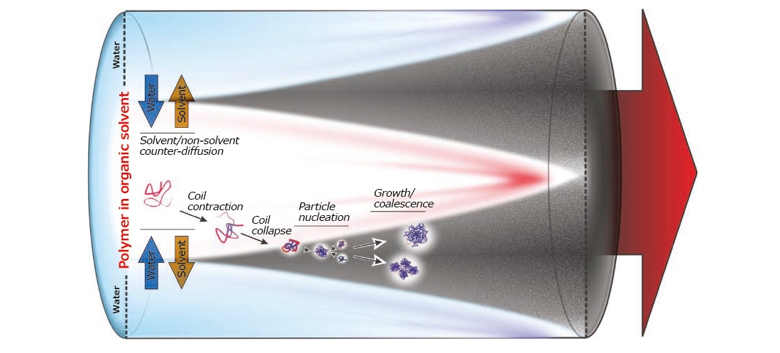 Different steps of phase separation (nanoprecipitation) in a flow-focused geometry