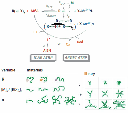 Schematic illustration of the ATRP