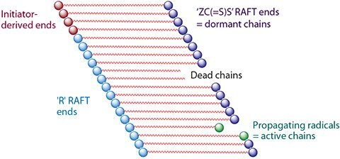 RAFT Polymerization Schematic