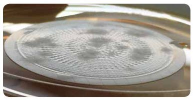 Example of visible growth of Aspergillus brasiliensis ATCC® 16404 after a 48 hour incubation