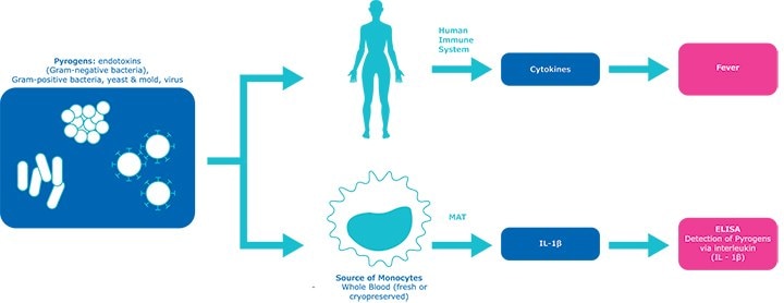 How the PyroDetect system works