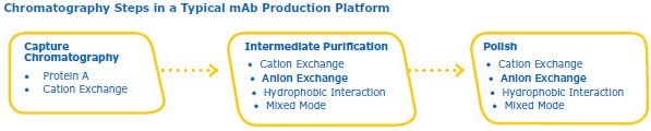 mAb Production Chromatography steps