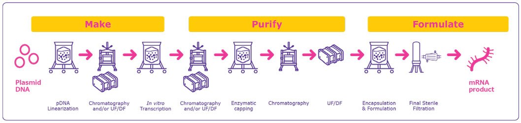 General process overview for mRNA manufacturing