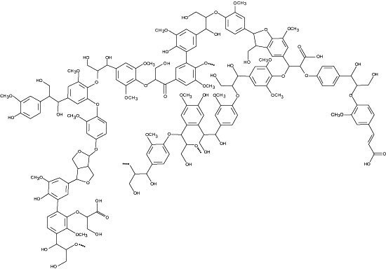 Lignin image