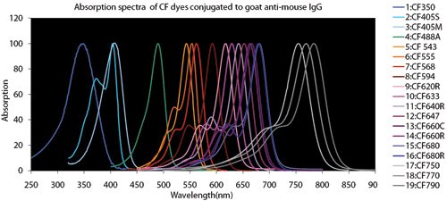 Fluorescent Dye Comparison Chart