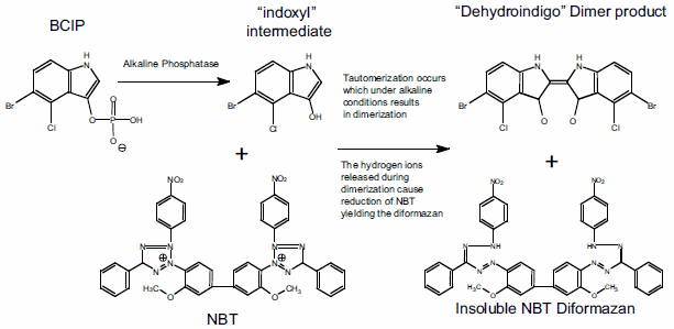 figure-1-v3a4