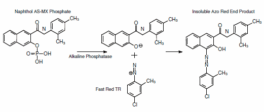 figure-2-v3a4