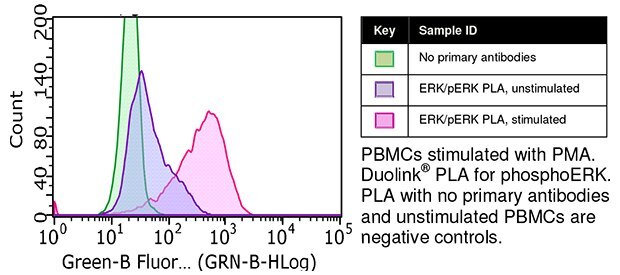 Blood Mononuclear Cells using Duolink®