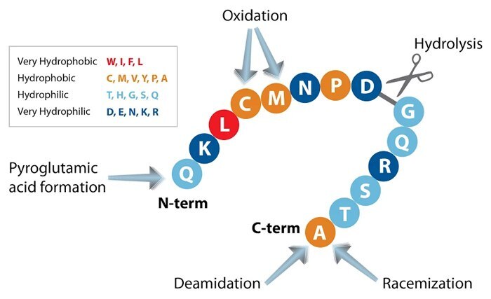 Lot Variability and Impurities in PEPscreen<sup>®</sup> peptide libraries 