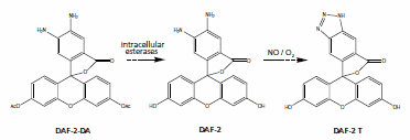 Dye figure 1