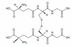 Structure of oxidized glutathione