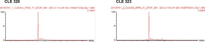 Deconvoluted MS spectra of Code H LC.