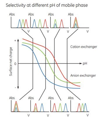 Effect of pH on protein elution patterns.