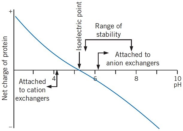 Considerations when selecting a suitable IEX medium