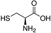 Cysteine, Cys, C