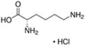 Lysine, Lys, K