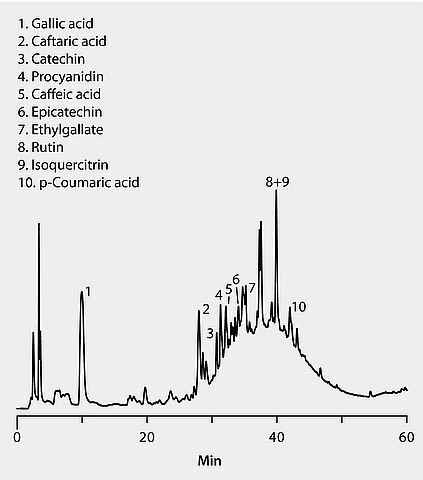 HPLC Analysis of Polyphenols in Nero d'Avola Red Wine