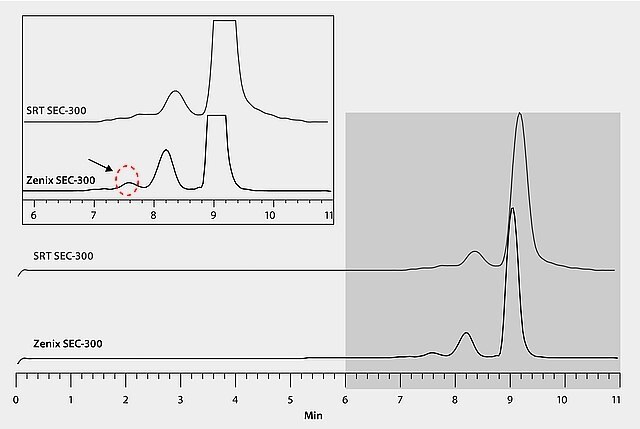 bovine-serum-albumin