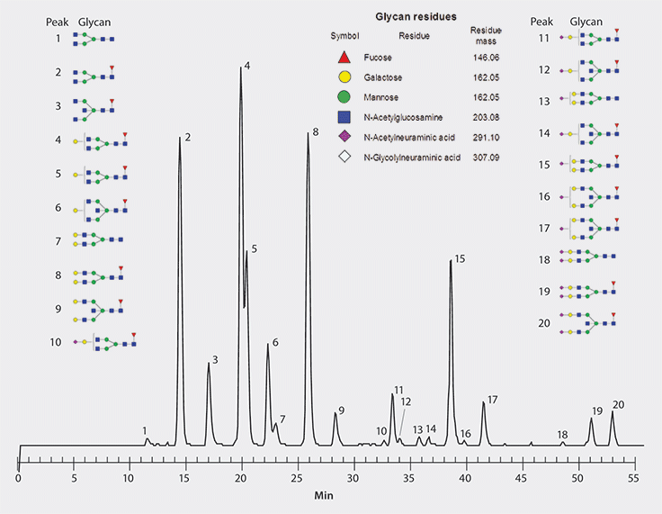 Separation of Procainamide Labeled Human IgG Glycans