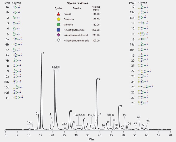 Separation of Procainamide Labeled Cetuximab Glycans