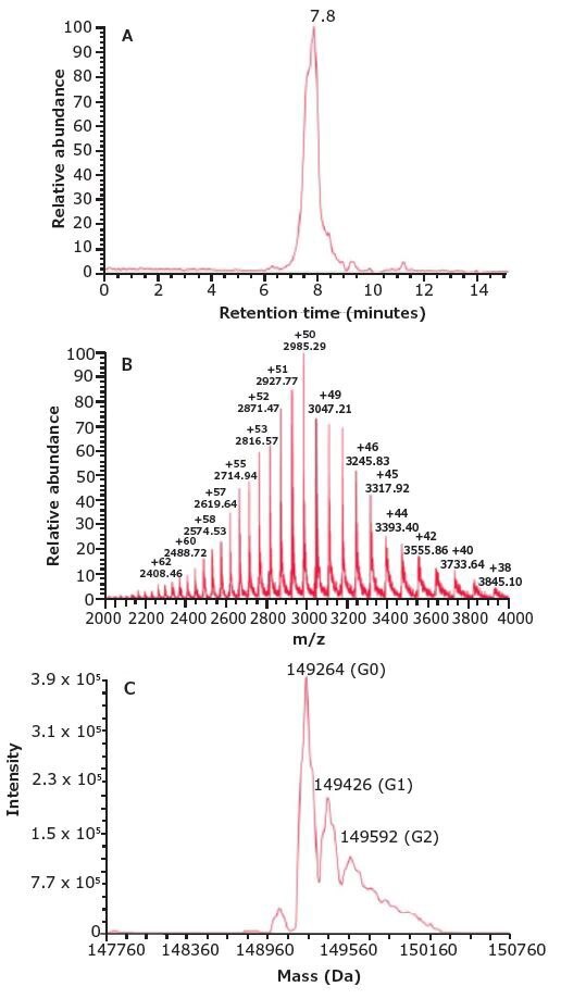 SEC-MS Analysis of Parent mAb.