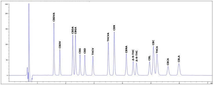 Rapid Gradient Method