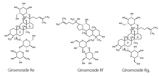 Chemical structures of the analyzed ginsenosides