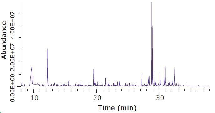 Headspace SPME-GC/MS Analysis of Dried Hops Flowers, Increased Sample Equilibration Temperature