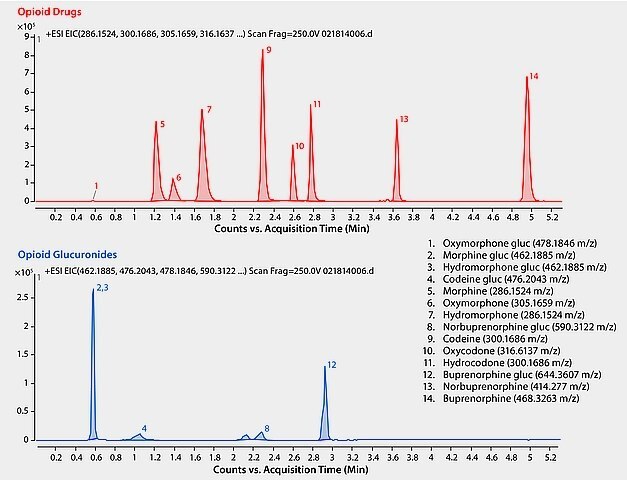 LC/MS Analysis of Opioid Glucuronide Metabolites in Urine