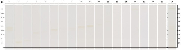 Chromatograms under UV